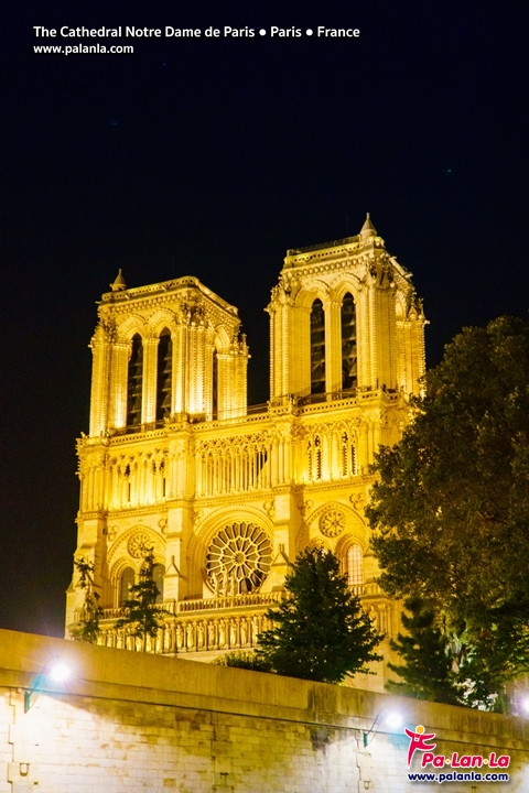 The Cathedral Notre Dame de Paris